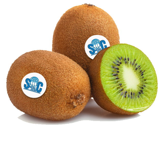 KIWIS CALIDAD PREMIUM