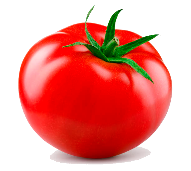 TOMATE EN RAMA