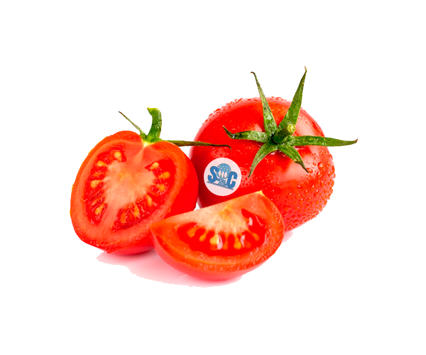 TOMATE EN RAMA