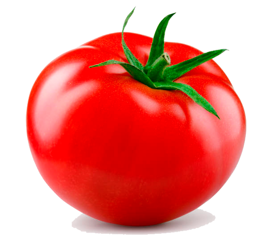 TOMATE EN RAMA